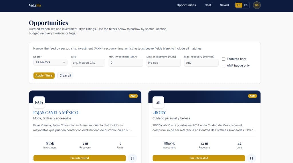VidaBiz case study screenshot